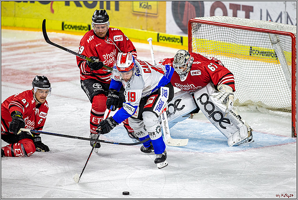 DEL;  Koelner Haie - Schwenninger Wild Wings; Koeln, 20.12.2019